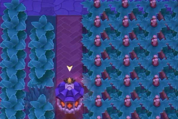 Moonlight Peaks Firefly Sanctuary And Firefly Pollinator Guide